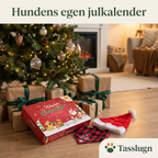 Hundens egen julkalender under granen