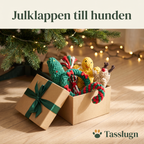 Julklappen till hunden – repleksaker i en presentkartong under granen