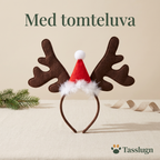 Renhorn till hund – med tomteluva
