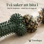 Tuggben med rep – rep för dragkamp och mjukt ben att tugga på