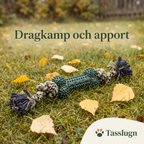 Tuggben med rep – för dragkamp och apport