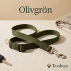 Bilbälte för hund – olivgrön