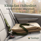 Bilbälte för hund fastklickat i bilens bälteslås