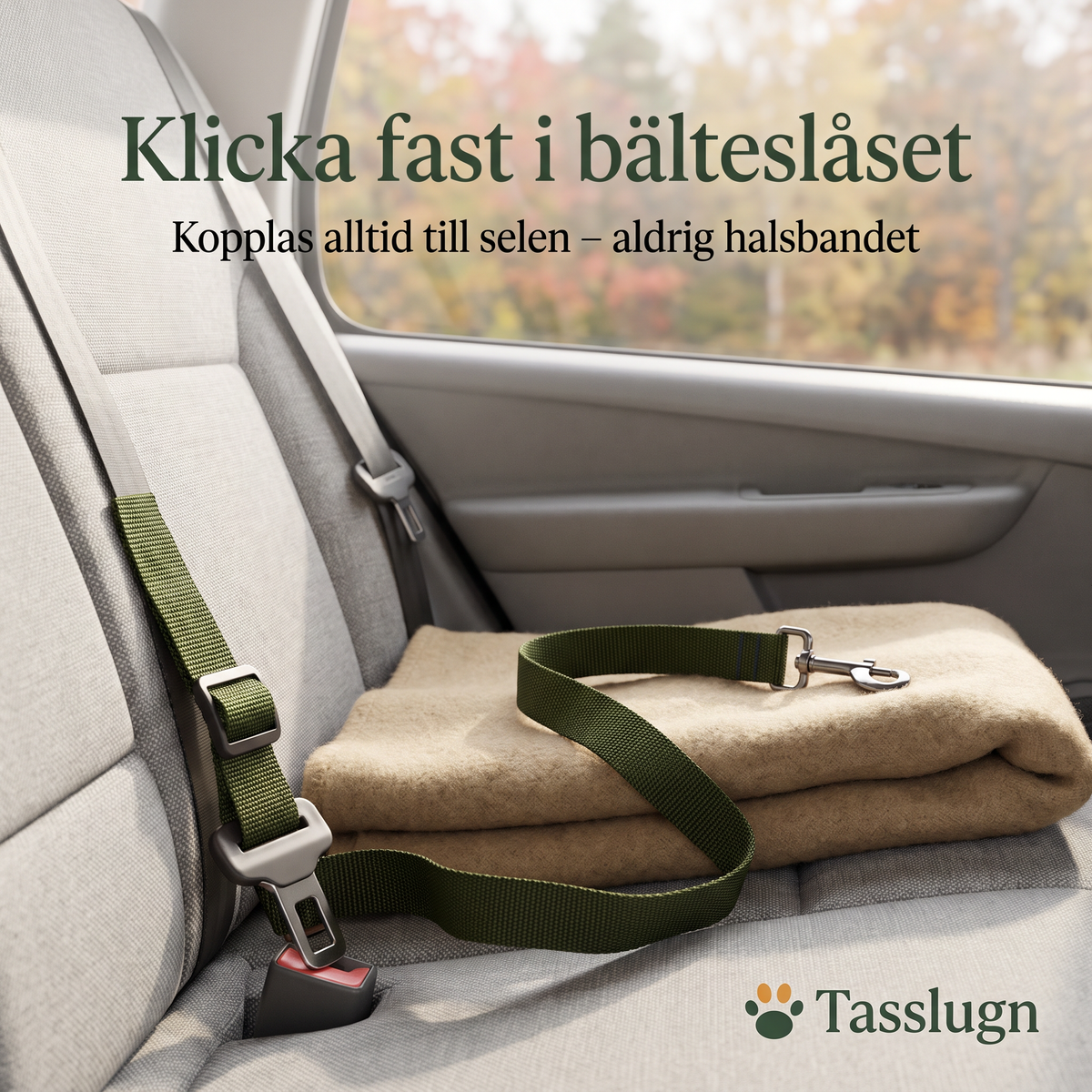 Bilbälte för hund fastklickat i bilens bälteslås